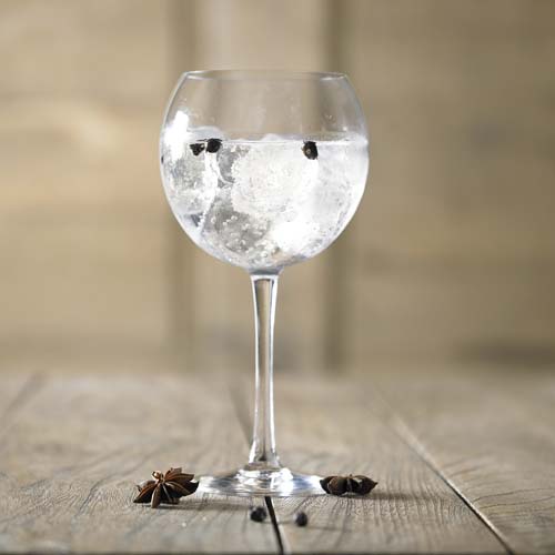 Spicy Gin Tonic Colruyt